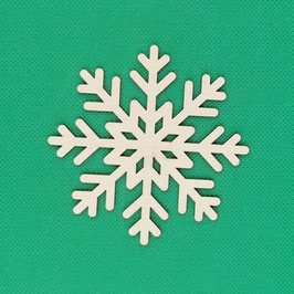 Schneestern 9