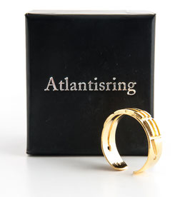Atlantisring (Herrengröße) vergoldet offen, 925 Sterling Silber