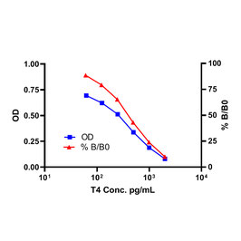Thyroxine-T4-ELISA-Serum-Plasma