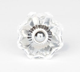 Möbelknopf B9a, transparent, mit silber Rosette