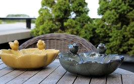 Vogelbad Geel