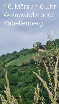 Weinwanderung: Kapellenberg