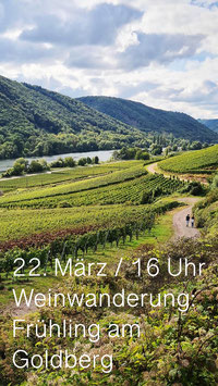 Weinwanderung: Frühling am Goldberg