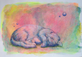 Schlafende Katze - Original!