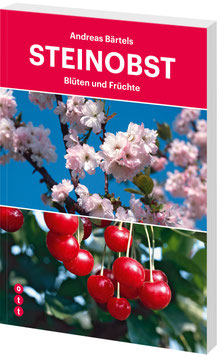 Steinobst - Blüten und Früchte