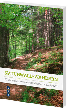Naturwald-Wandern