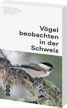 Vögel beobachten in der Schweiz