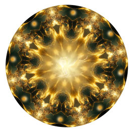 Mandala Phoenix 323