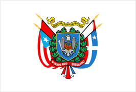 Bandera del Escudo Nacional Soberano de Puerto Rico