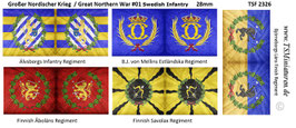 28mm GNW Great Northern War #01 Sweden Infantry
