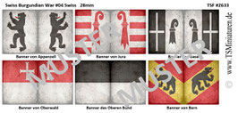 28mm Swiss Knights #01