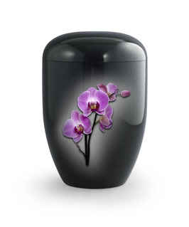 Urn natuurstof orchidee