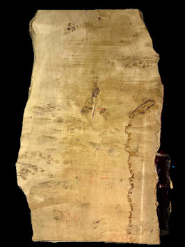 Tischlatte Pappel 200x116cm