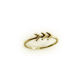 Suus&Co ring klein 3*V goud