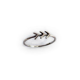 Suus&Co ring klein 3*V zilver