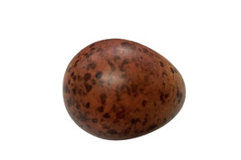 Réplica de huevo de halcón peregrino