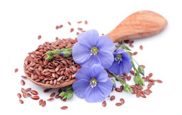 Flachsoel - Omega 3-6-9
