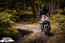 3 Tages Vogesen Tour auf der neuen CRF 1100 Honda Africa Twin als DCT AUTOMATIK 04.-06.07.2025