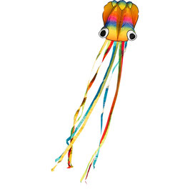 HQ 3D Rainbow Octopus S Parafoil Kinderdrache