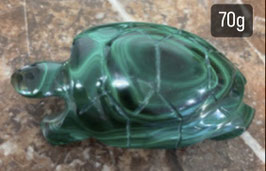 Tortue en Malachite