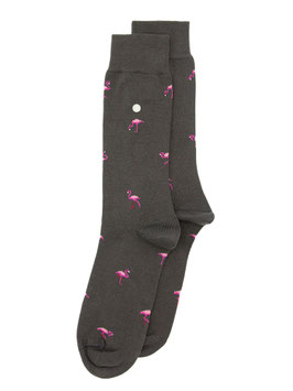 #AlfredoGonzales - FLAMINGO