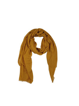 nobrand - PASHMINA