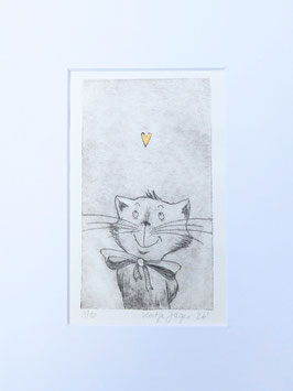 Katze