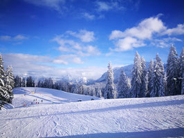 18.01.2025 Tagesfahrt