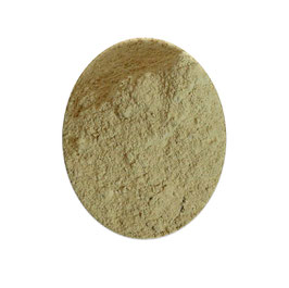 TONGKAT ALI POWDER
