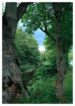FLUSSLANDSCHAFT BELGIEN