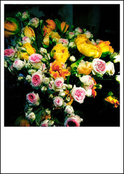 ROSEN + MOHNBLUMEN