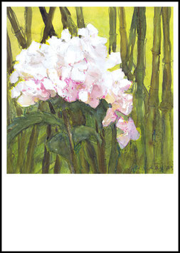 HORTENSIE