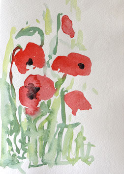 ROTER MOHN