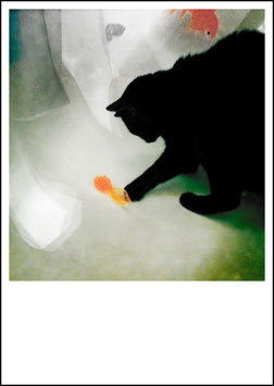KATZE MIT PLASTIKFISCH