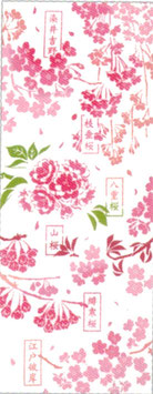 桜図鑑