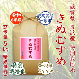 特別栽培きぬむすめ - ひらた米穀店｜東大阪で玄米から精米する5つ星お