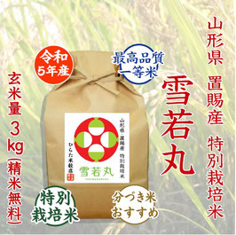 特別栽培米 雪若丸　玄米3kg