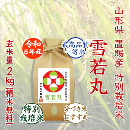 特別栽培米 雪若丸　玄米2kg