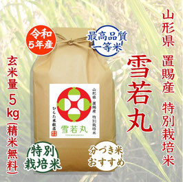 特別栽培米 雪若丸　玄米5kg