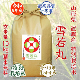 特別栽培米 雪若丸　玄米10kg