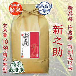新之助　玄米10kg