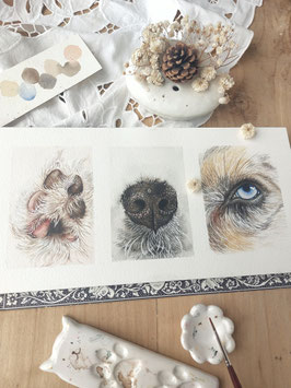 Trytique détails animaliers