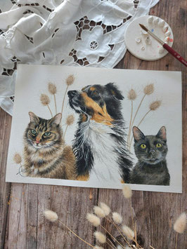 Portrait 3 animaux