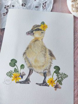 Aquarelle originale "Gaston le caneton"