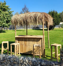 Tiki Bar capanna