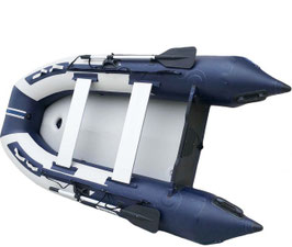 Ozean SD300 AD