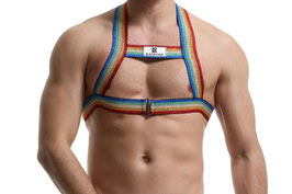 Pride Body Harness (S M L)