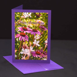 C6 Echinacea mit text. gute Besserung auf Amethyst violetter karte