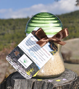 AMANDES AUX GLANDS SAUVAGES D'UN CHÊNE CENTENAIRE CLASSÉ "MONUMENT NATUREL"