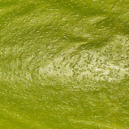 1kg Grasgrün Metallic